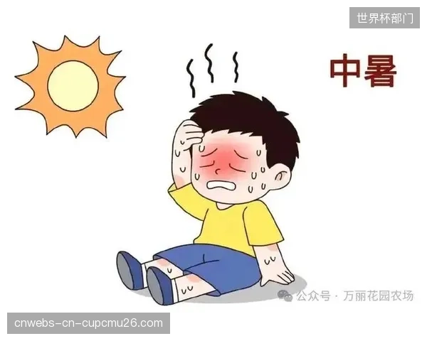 专家警告，在高温下观赛的球迷因代谢热和潜在健康问题，面临的风险甚至高于场上运动员。